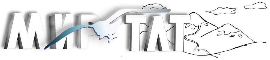 МИР-ТЛТ